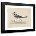 thumbnail image 1 of Ferdinand von Wright 23x20 Black Modern Framed Museum Art Print Titled - White Wagtail, 1 of 5