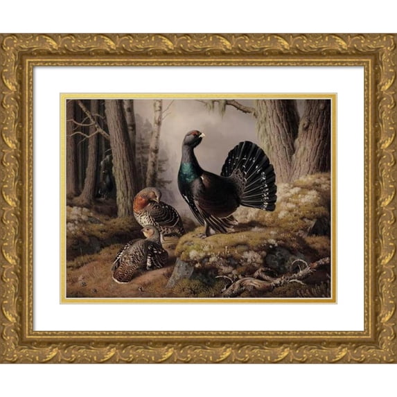 Ferdinand von Wright 24x19 Gold Ornate Framed and Double Matted Museum Art Print Titled - Capercaillies Courting (1862)