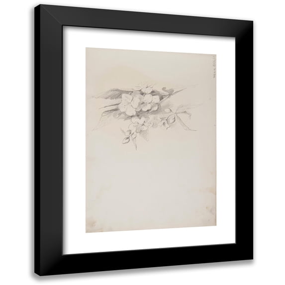 Ferdynand Bryll 18x24 Black Modern Framed Museum Art Print Titled - Flower Sketches (1883-1886)