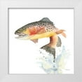 thumbnail image 1 of Ferguson, Kathy 26x26 White Modern Wood Framed Museum Art Print Titled - Cutthroat Trout, 1 of 4