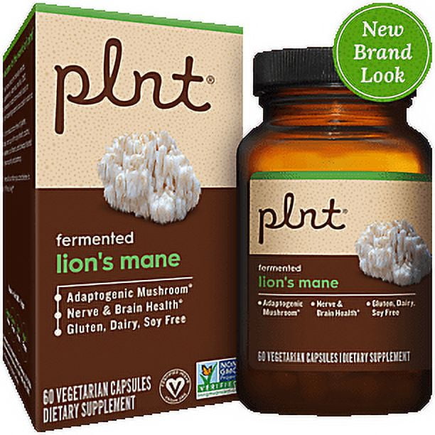 Fermented Lion's Mane - Adaptogenic Mushroom For Nerve & Brain Support ...