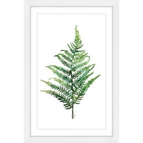 "Fern 2" Framed Painting Print