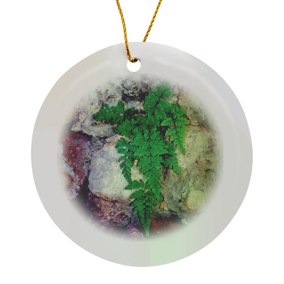 3drose, Fern and Geodes, Circle Porcelain Ornament