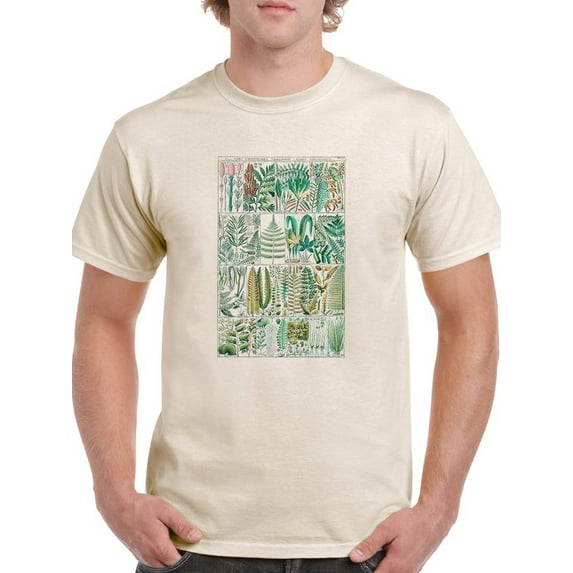 Fern Chart. T-Shirt Men -Vision Studio Designs, Male 4X-Large
