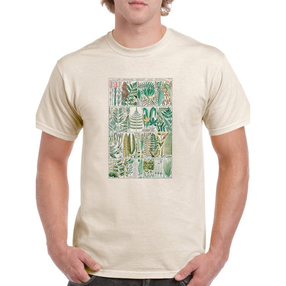 Fern Chart. T-Shirt Men -Vision Studio Designs, Male Small