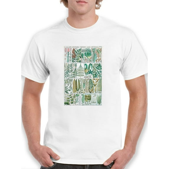 Fern Chart. T-Shirt Men -Vision Studio Designs, Male x-Large
