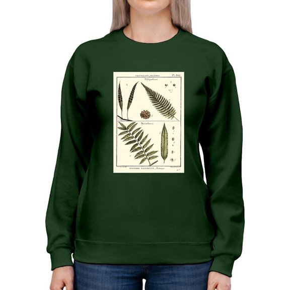 Fern Classification I Sweatshirt Women -Denis Diderot Designs, Female 3X-Large