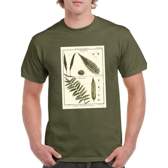 Fern Classification I T-Shirt Men -Denis Diderot Designs, Male 3X-Large