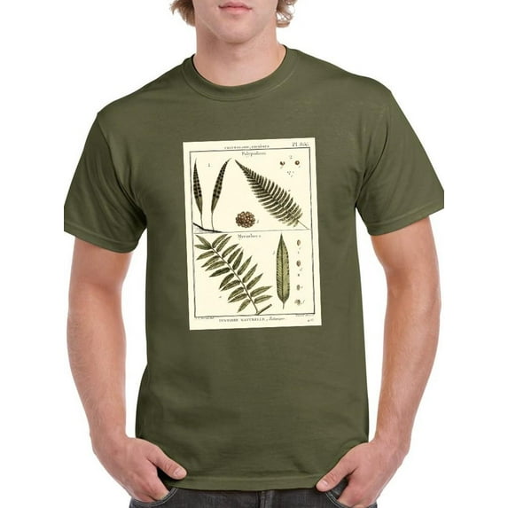Fern Classification I T-Shirt Men -Denis Diderot Designs, Male 4X-Large