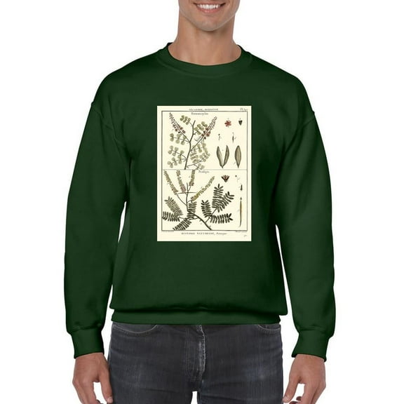 Fern Classification Ii Sweatshirt Men -Denis Diderot Designs, Male 3X-Large