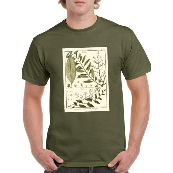 Fern Classification Iii T-Shirt Men -Denis Diderot Designs, Male x-Large