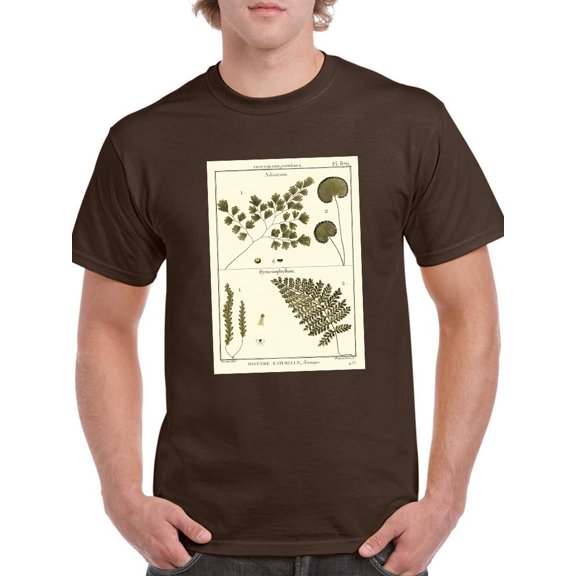 Fern Classification Iv T-Shirt Men -Denis Diderot Designs, Male Small