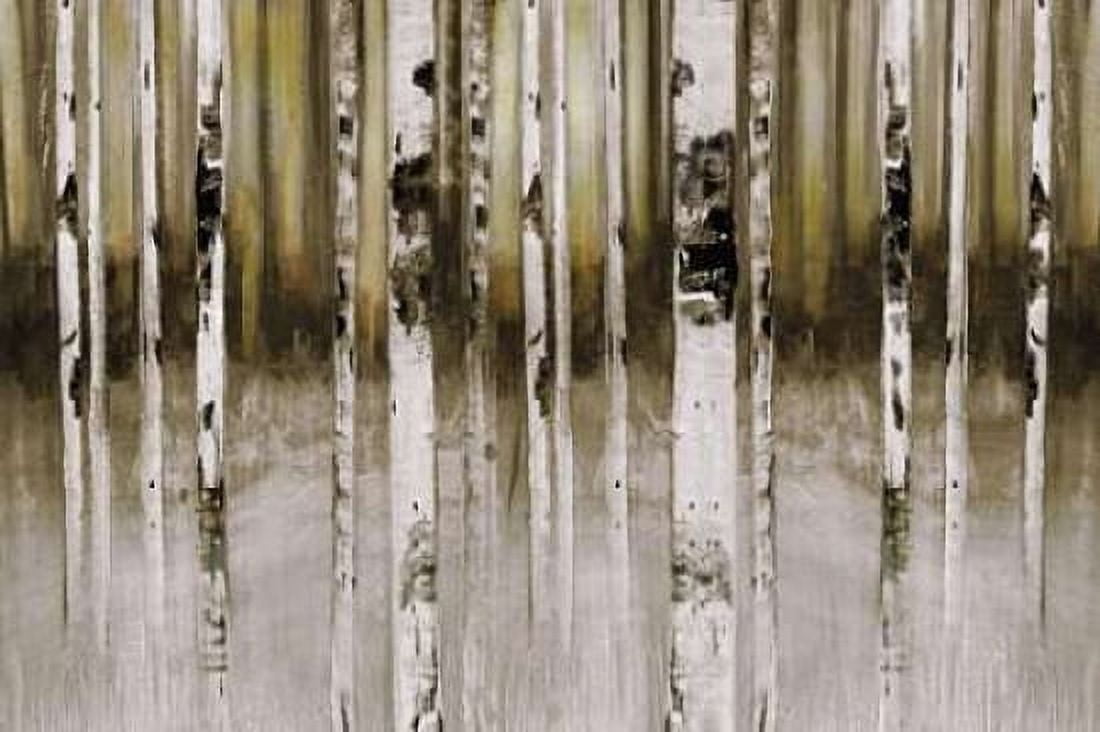 Fern Creek Canvas Art - Susan Jill (24 x 36)