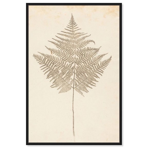Fern Frond Canvas Print Botanical Art by Art Remedy, Black Frame, 36 x 54