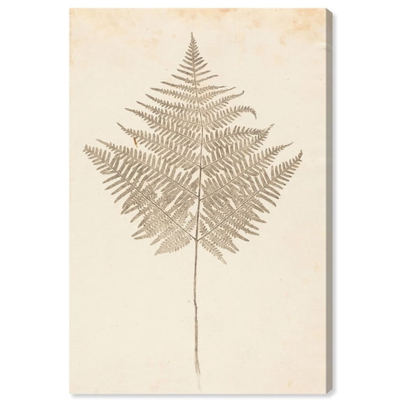Fern Frond Canvas Print Botanical Art by Art Remedy, Gallery Wrapped, 10 x 15