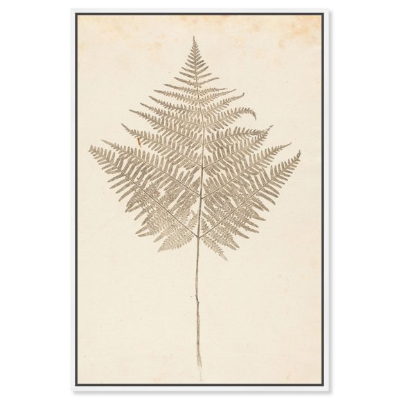 Fern Frond Canvas Print Botanical Art by Art Remedy, White Frame, 36 x 54