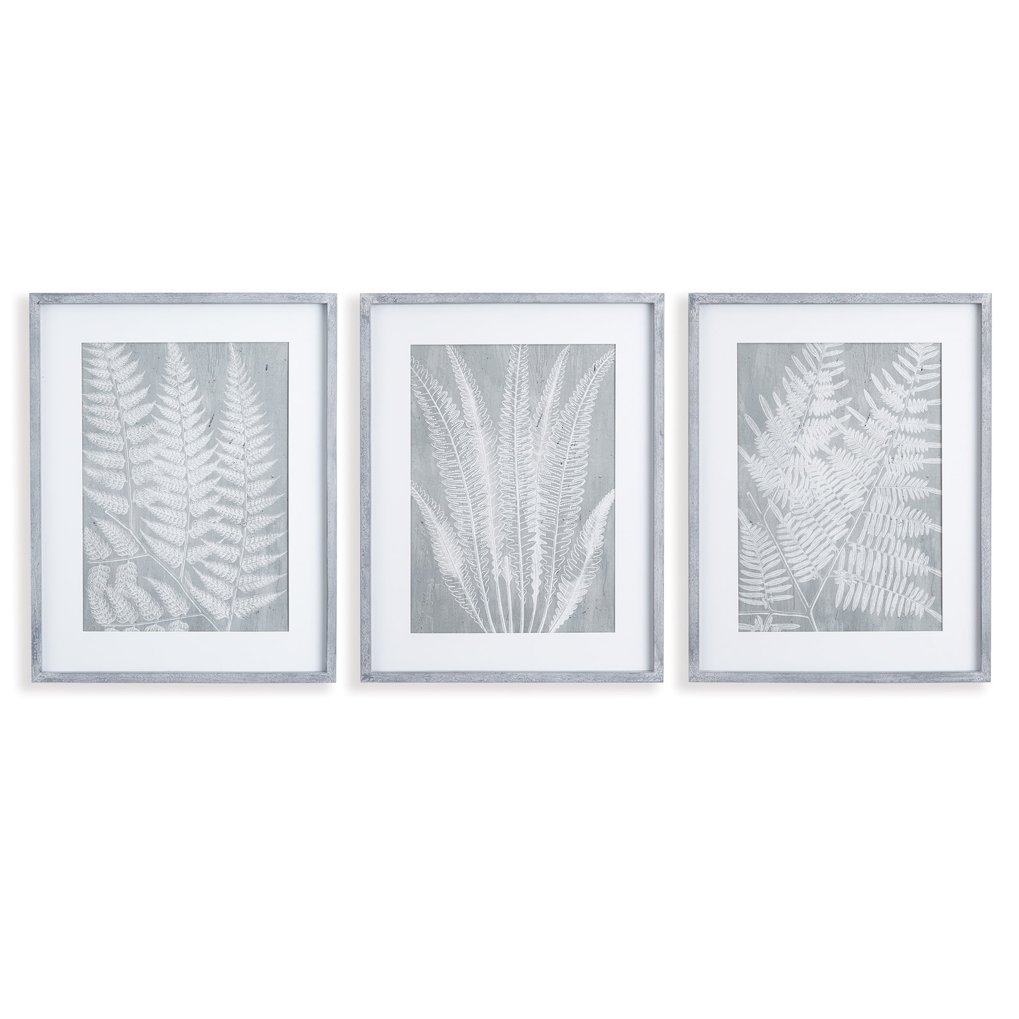 Gray and White Fern Frond Prints with Mats, Set of 3