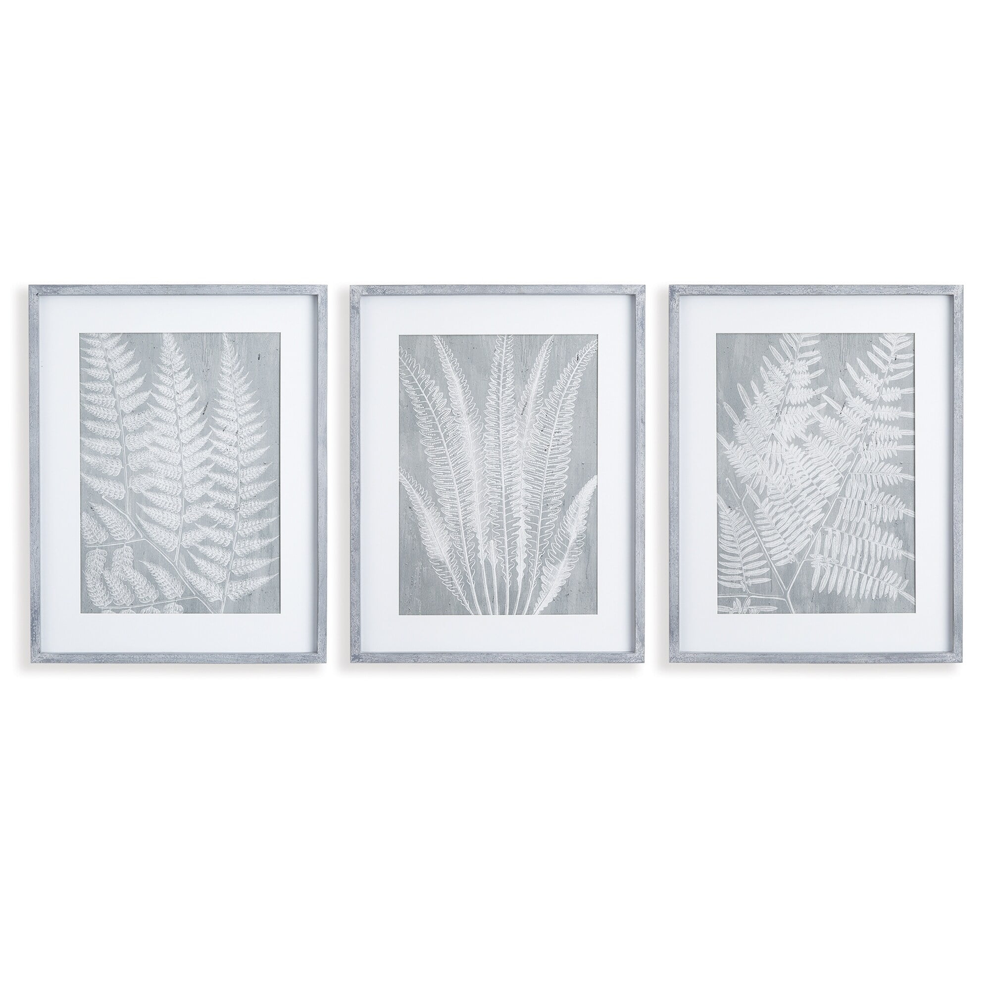 Gray and White Fern Frond Prints with Mats, Set of 3
