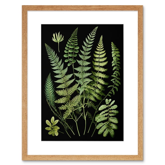 Fern Fronds Detailed Leaves Botanical Illustration Artwork Framed Wall Art Print 9X7 Inch