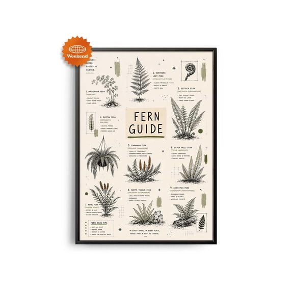 Fern Guide Hand Drawn Living Room Interior Design Retro Mid Century ...