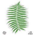 thumbnail image 1 of Fern Leaf - 3" Vinyl Sticker - For Car Laptop I-Pad Phone Helmet Hard Hat - Waterproof Decal, 1 of 1