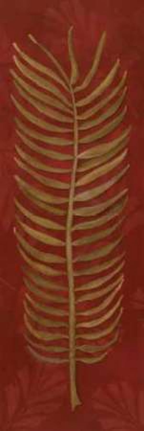 Fern Leaf Canvas Art - Stephanie Marrott (12 x 36)