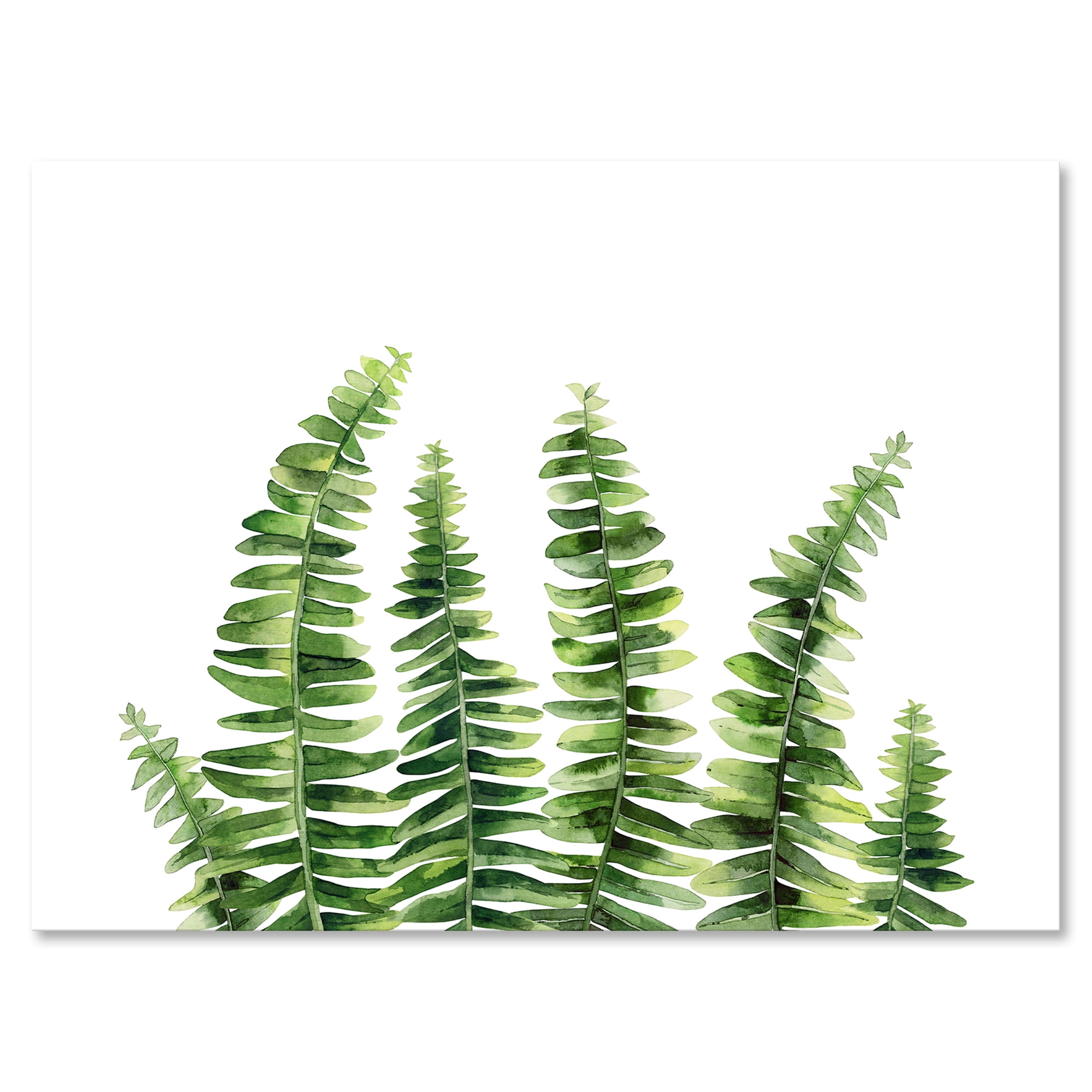 Fern Plant Leaves Detail II 32 in x 16 in Painting Canvas Art Print, by Designart