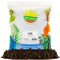Fern Plant Potting Soil Mix (8 Quarts), Custom Hand Blended Mixture for Indoor/Outdoor Container Gardening