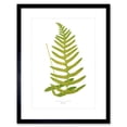 thumbnail image 1 of Fern Polypodium Vulgare Art Print Framed Poster Wall Decor 9x7 inch, 1 of 5