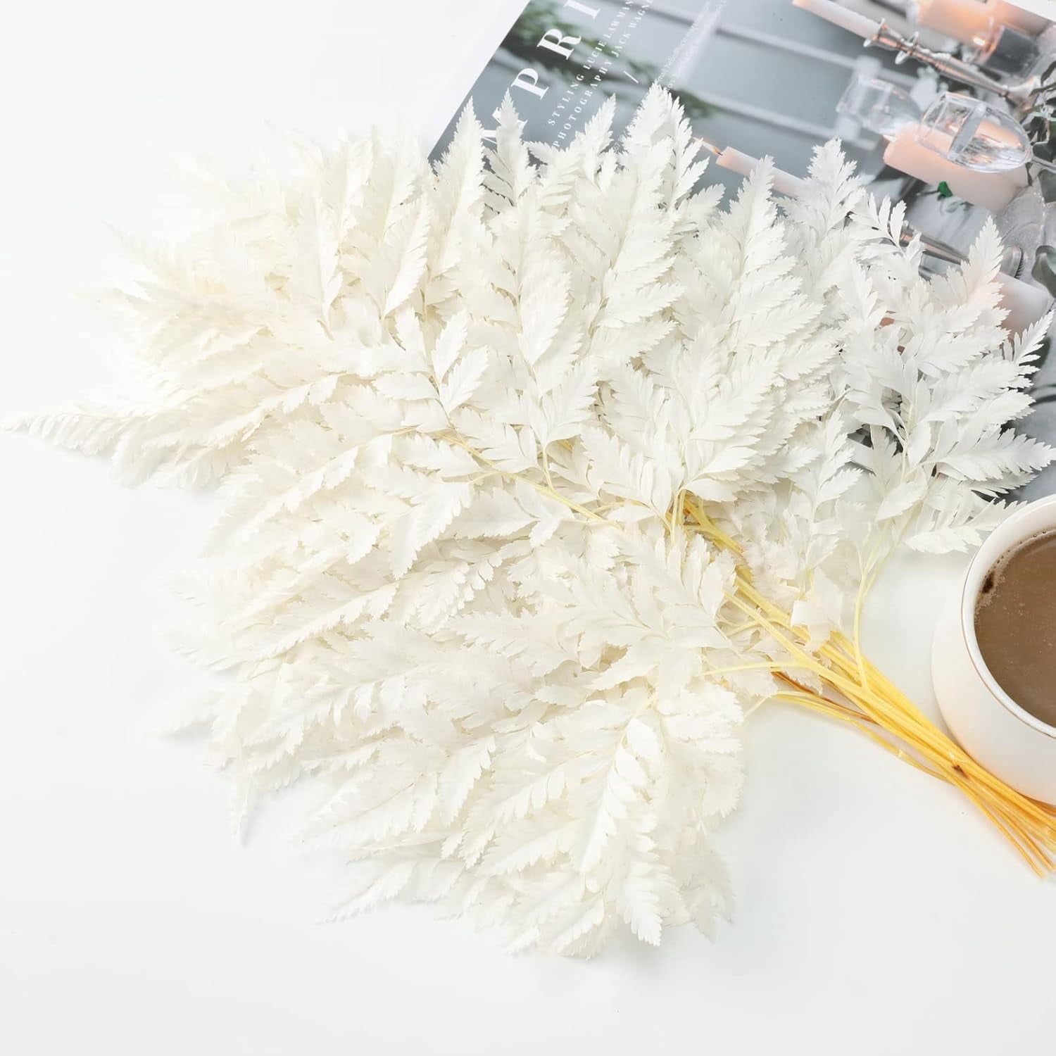 Fern Preserved White Ferns, 10 PCS Dried Boston with Stems, 15'' Real Leaves for Flowers Arrangements Wedding Garland Bouquets Home Party Centerpiece Table Decorations Vase Filler