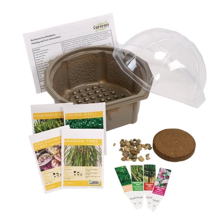 Silver Circle Products SRCEBRB621 Rainforest Biosphere Nurture Plant