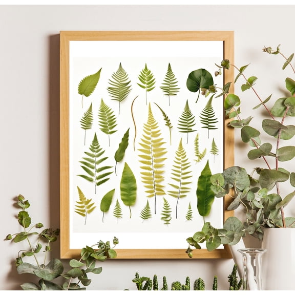 Fern Species Chart Poster: Vintage Botanical Wall Art, Unframed Canvas Size 8x12