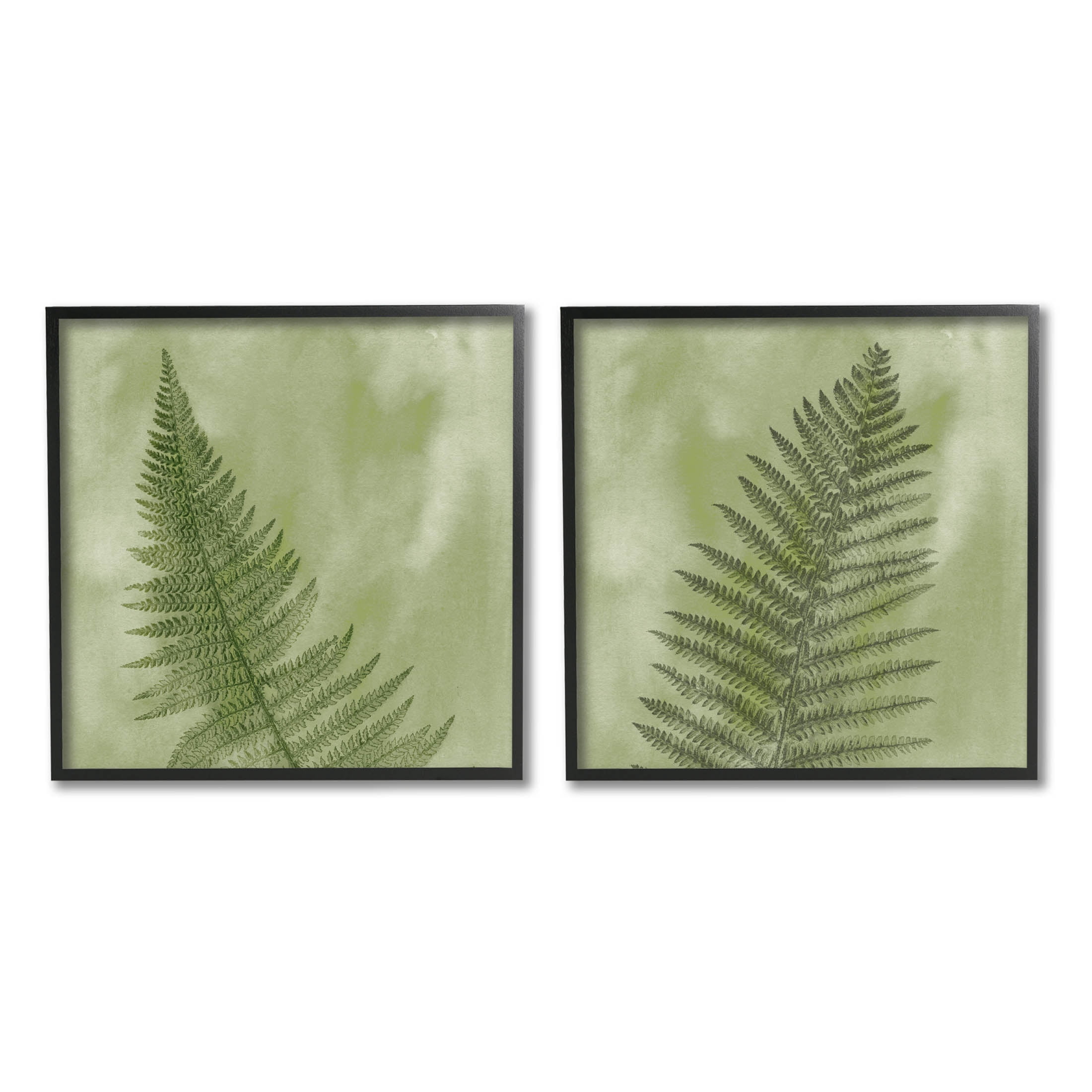 Fern Sprouts Forest Nature Leaves Botanical & Floral Graphic Art Black Framed Art Print Wall Art, Set of 2