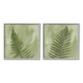 thumbnail image 1 of Fern Sprouts Forest Nature Leaves Botanical & Floral Graphic Art Gray Framed Art Print Wall Art, Set of 2, 1 of 8