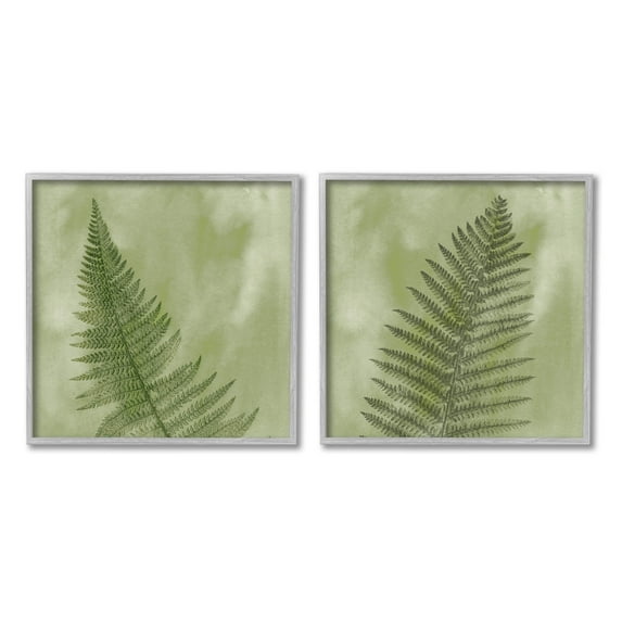 Fern Sprouts Forest Nature Leaves Botanical & Floral Graphic Art Gray Framed Art Print Wall Art, Set of 2