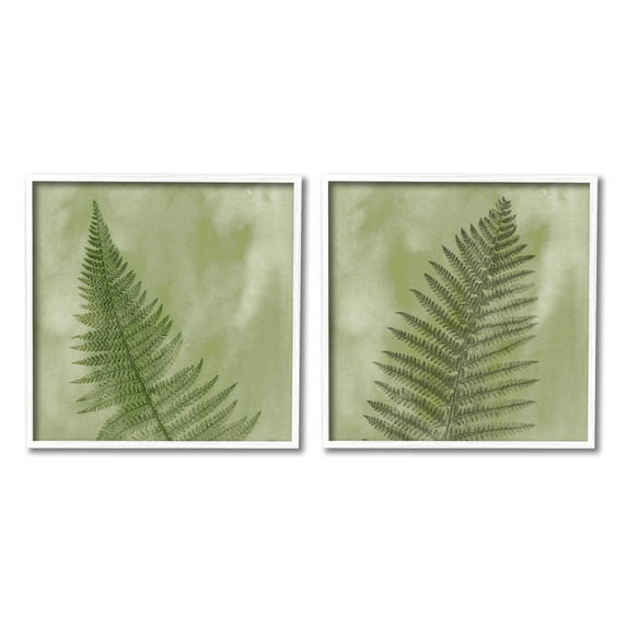 Fern Sprouts Forest Nature Leaves Botanical & Floral Graphic Art White Framed Art Print Wall Art, Set of 2