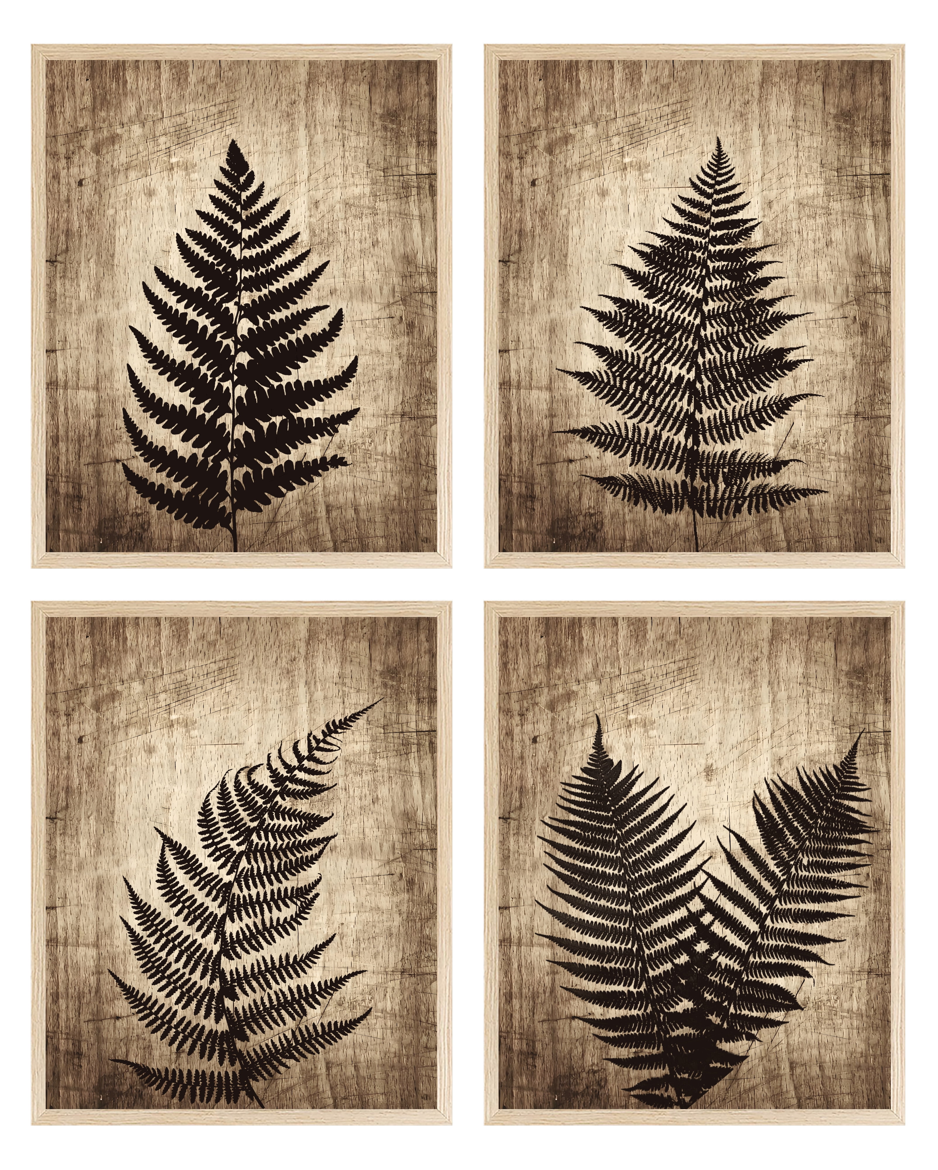 Fern Wall Art Framed Botanical Prints Set of 4 Flowers Plants Framed ...
