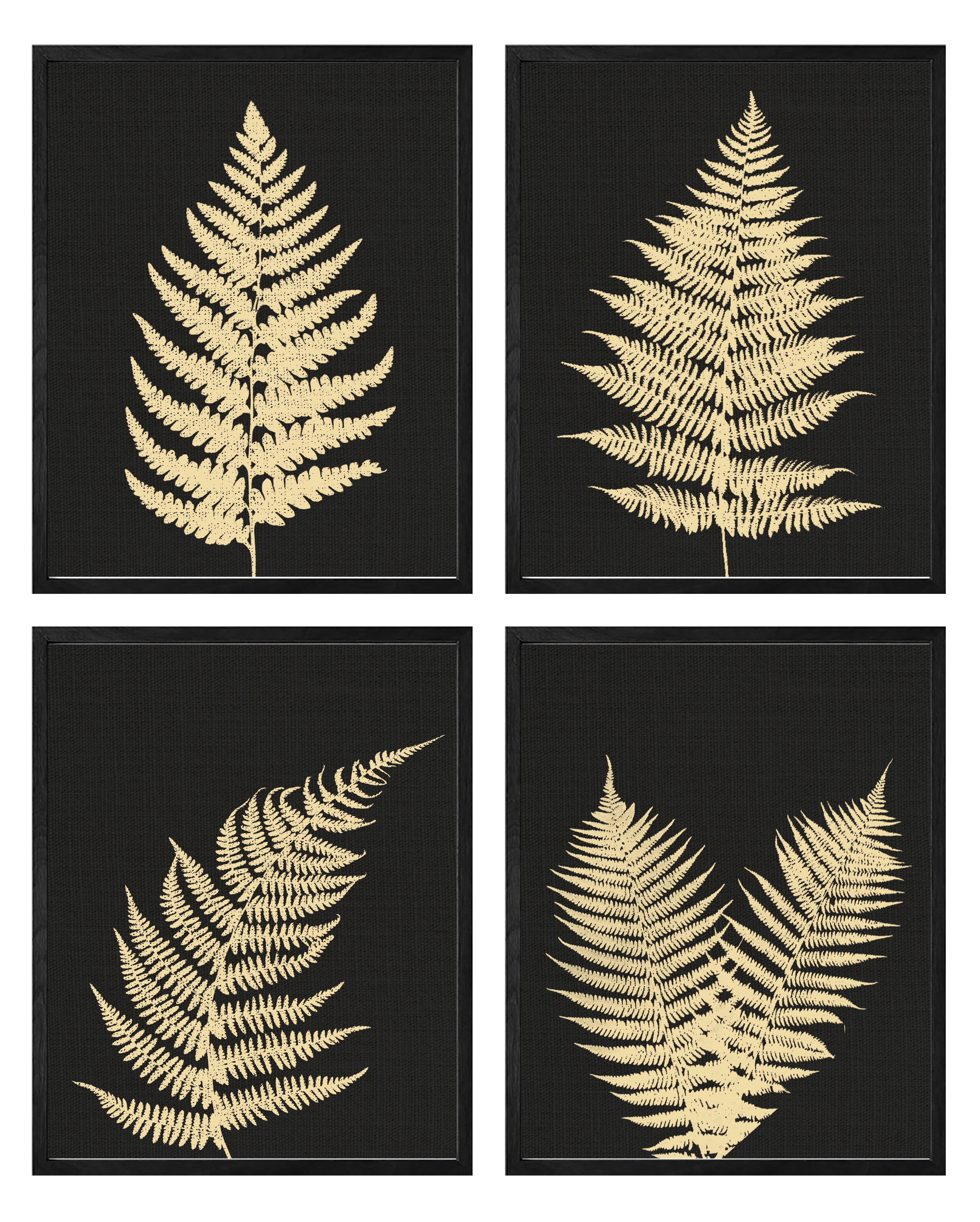 Fern Wall Art Framed Botanical Prints Set of 4 Flowers Plants Framed ...
