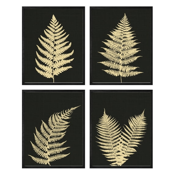 Fern Wall Art Framed Botanical Prints Set of 4 Flowers Plants Framed Wall Art Botanical Leaf Decor For Bathroom