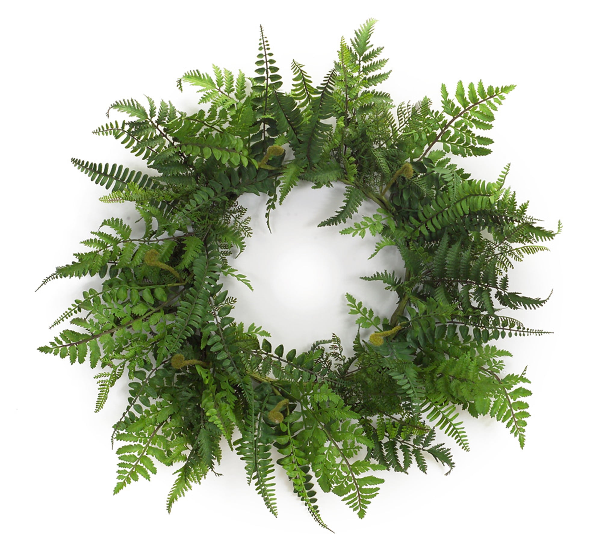 Elegant Outdoor 24" Artificial Fern Wreath with Natural Twig Base