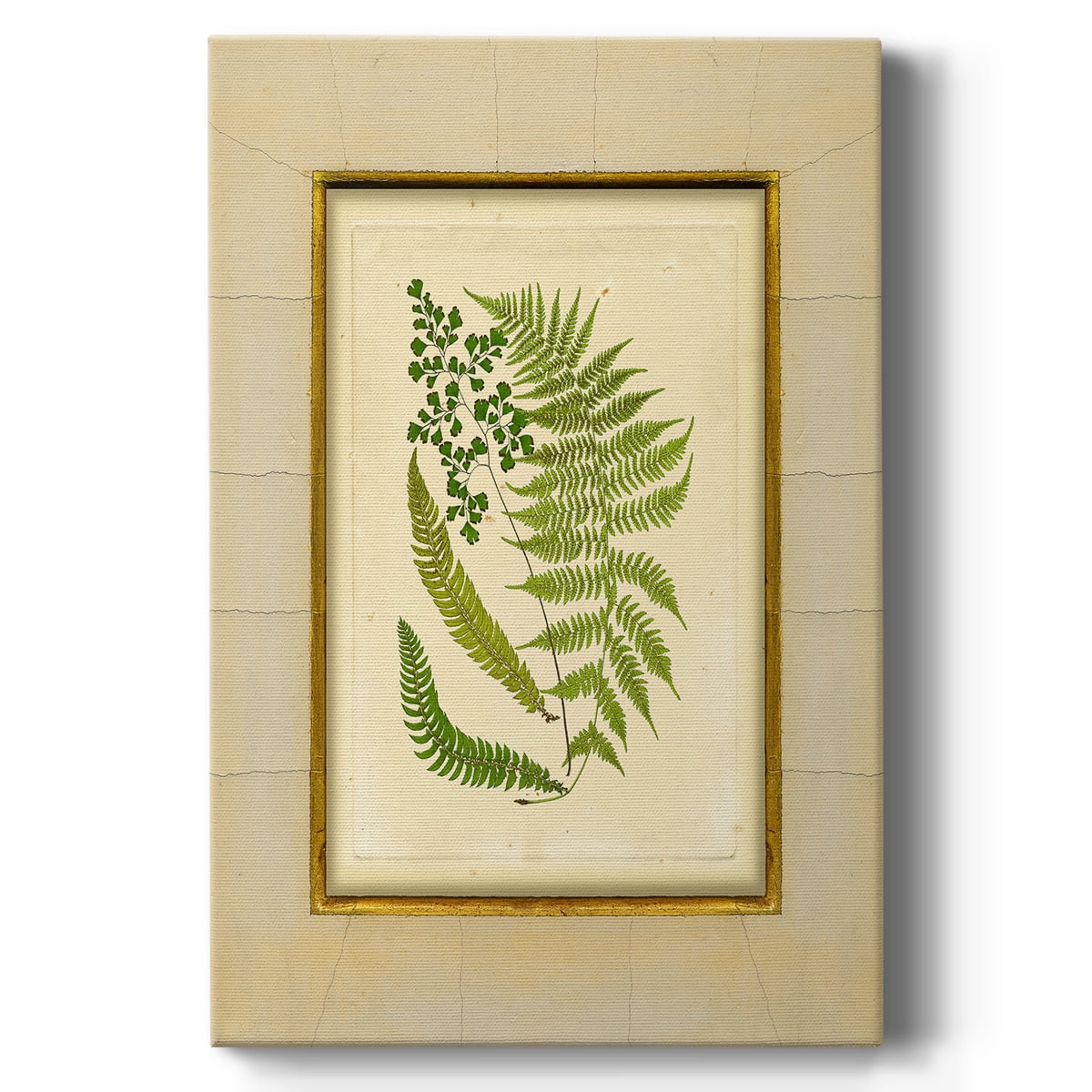 Fern with Crackle Mat (H) II Premium Gallery Wrapped Canvas - Ready to Hang
