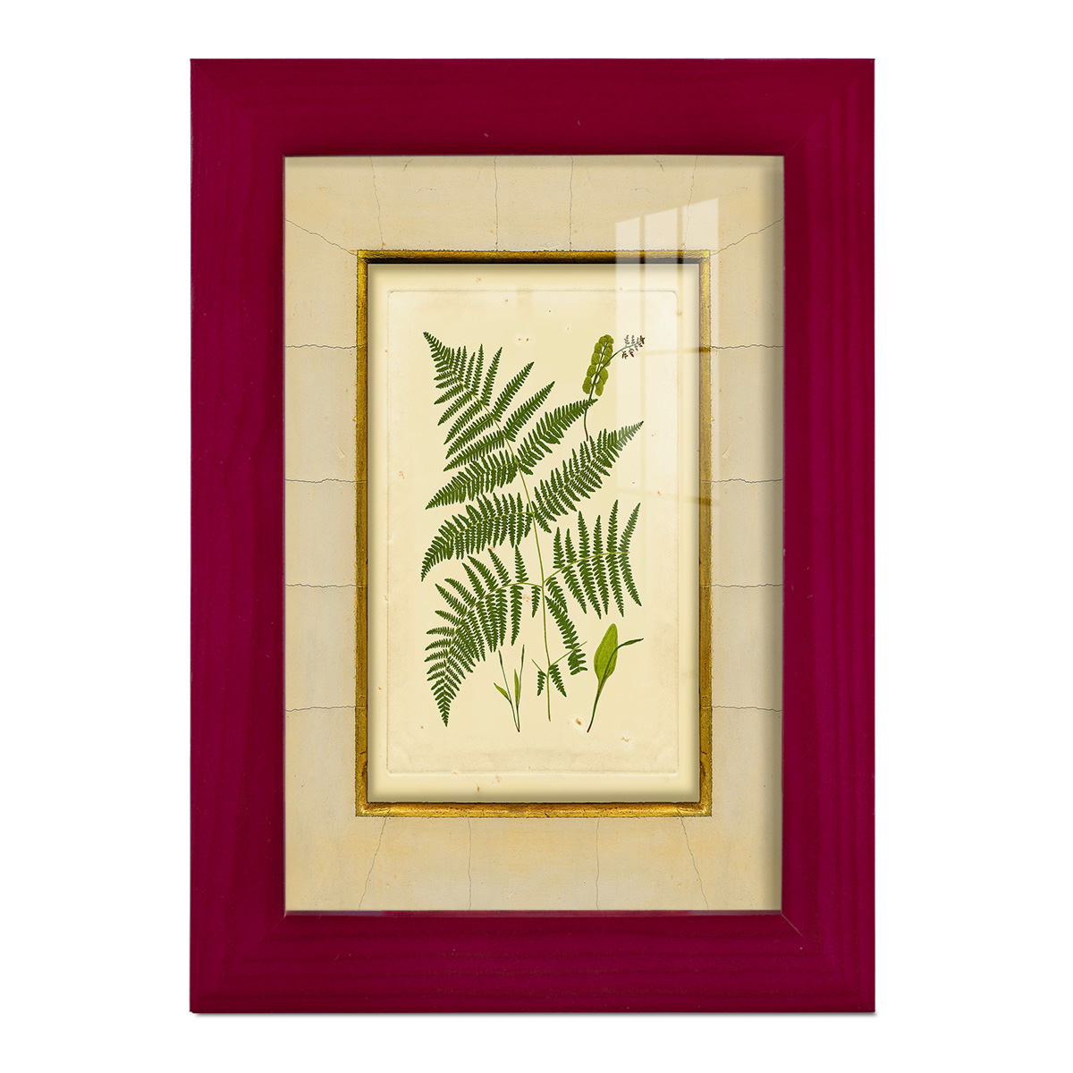 Fern with Crackle Mat (H) IV - Framed Print w/glass - Cherry Red