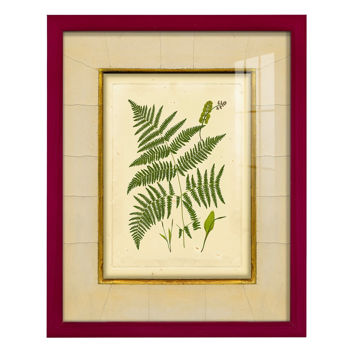Fern with Crackle Mat (H) IV - Framed Print w/glass - Cherry Red