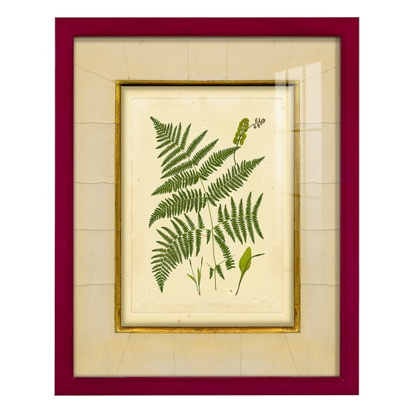 Fern with Crackle Mat (H) IV - Framed Print w/glass - Cherry Red