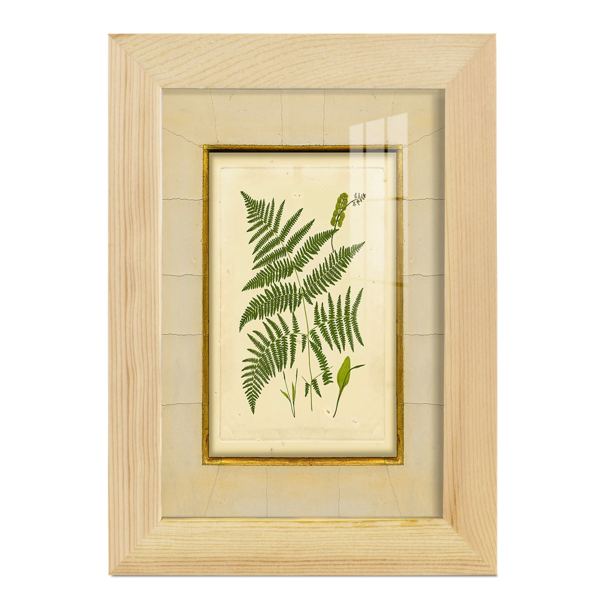 Fern with Crackle Mat (H) IV - Framed Print w/glass - Natural Wood