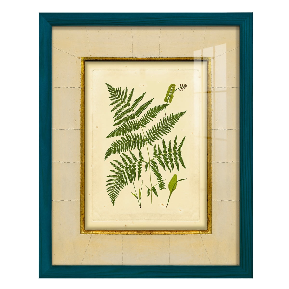 Fern with Crackle Mat (H) IV - Framed Print w/glass - Ocean Blue