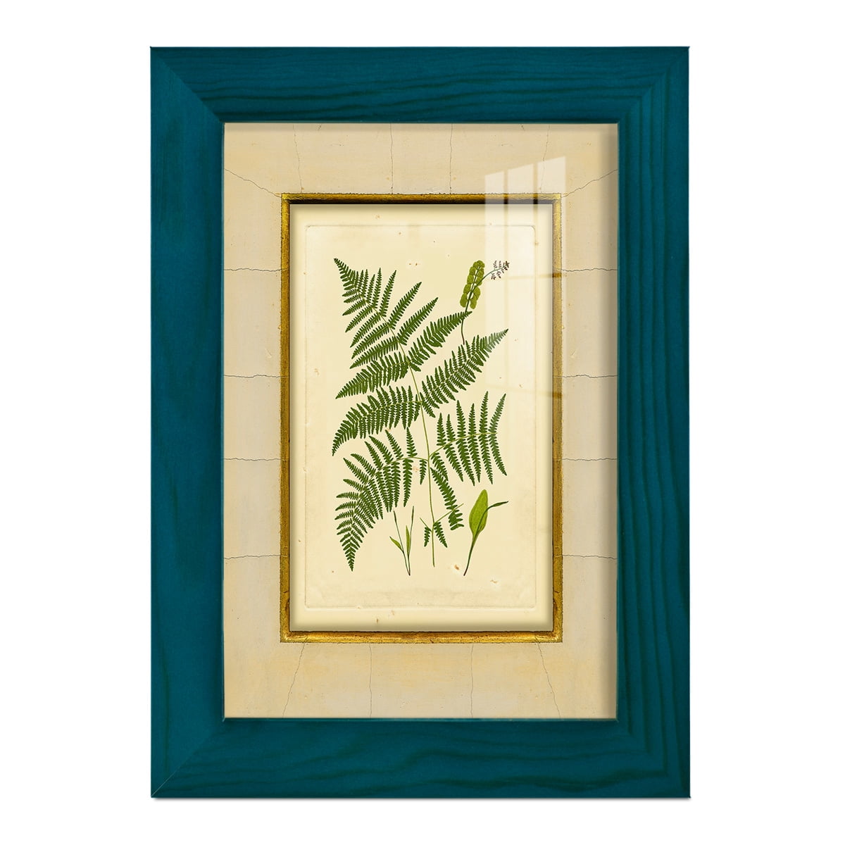 Fern with Crackle Mat (H) IV - Framed Print w/glass - Ocean Blue