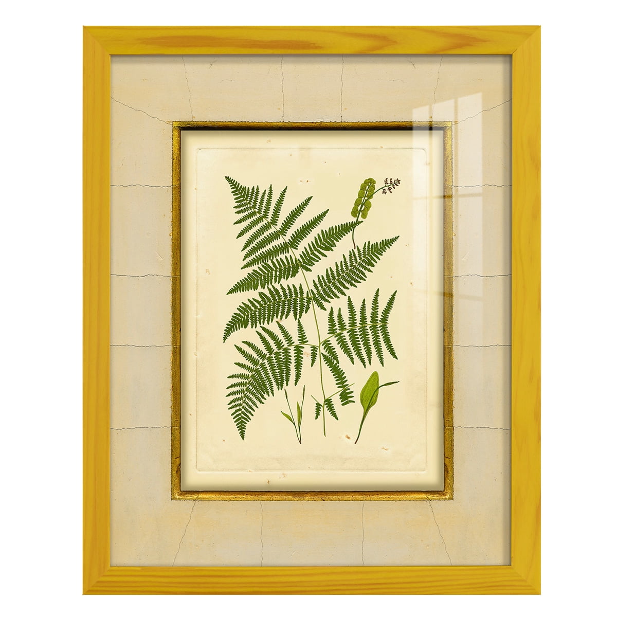 Fern with Crackle Mat (H) IV - Framed Print w/glass - Sunflower Yellow