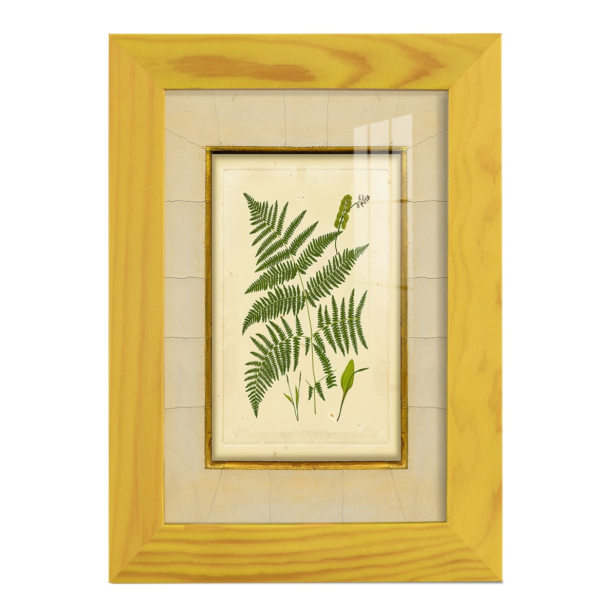 Fern with Crackle Mat (H) IV - Framed Print w/glass - Sunflower Yellow