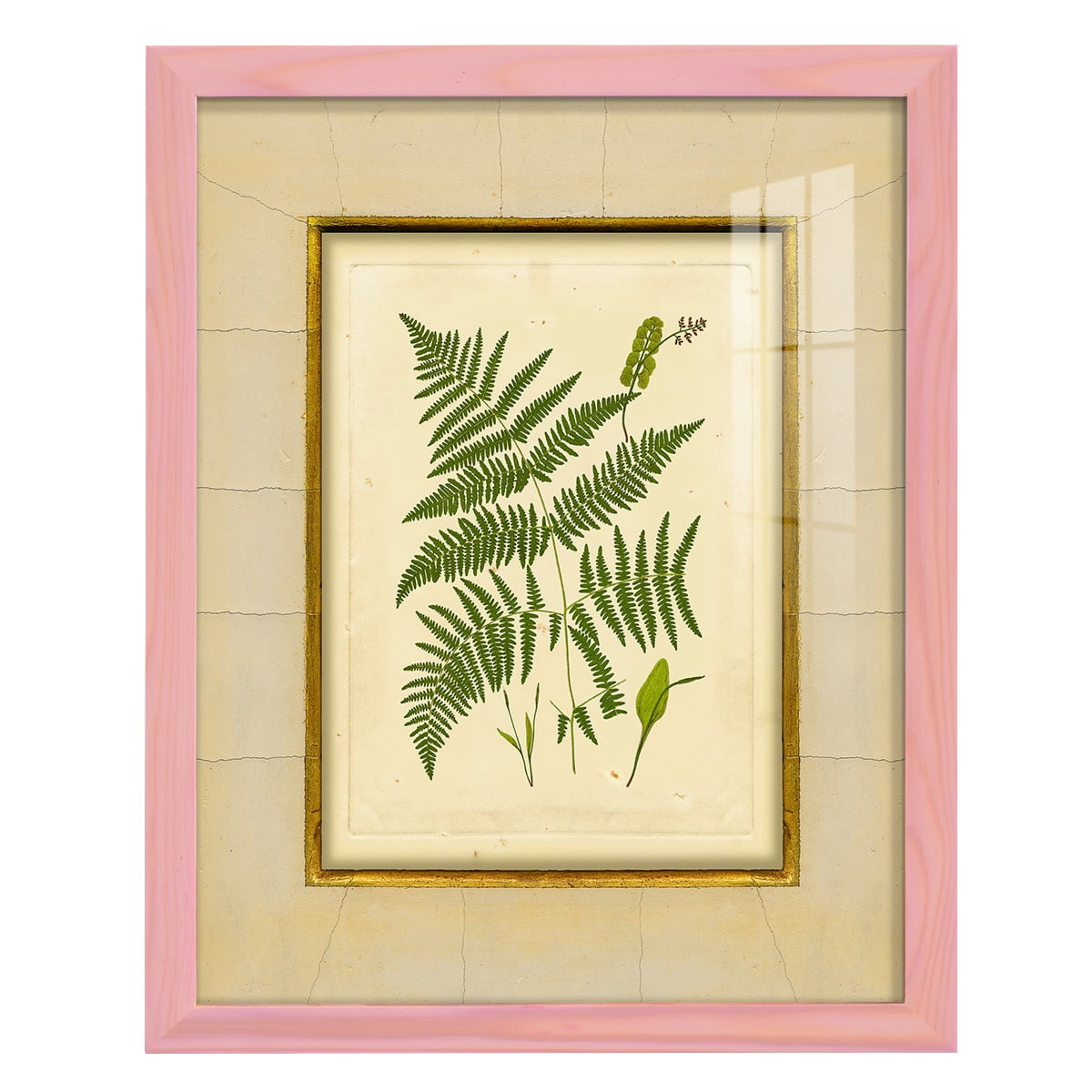 Fern with Crackle Mat (H) IV - Framed Print w/glass - Sunset Pink